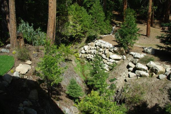 Dogwood Creek next to Cabin