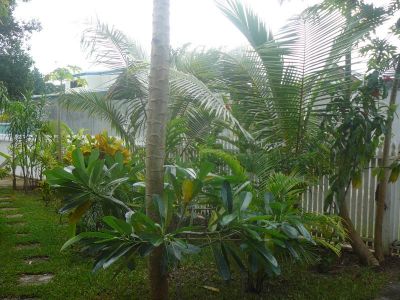 Sea Breeze Guest House 