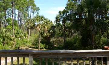 Port St. Joe, Florida, Vacation Rental Villa