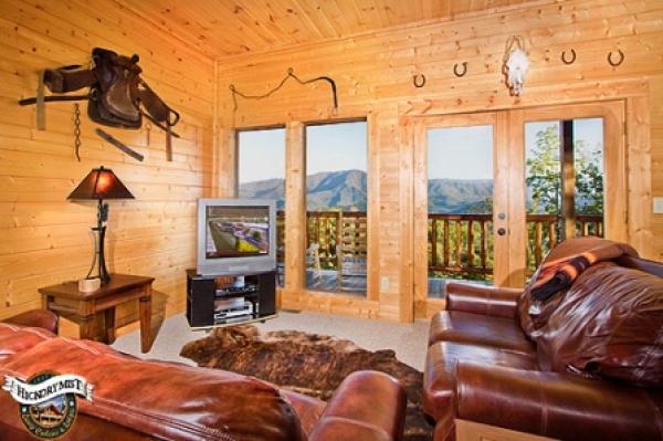 TV in the Living Room 