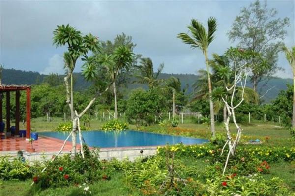 Another View of Garden with Swimming Pool