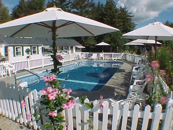 Swimming at our Pool at Wills Inn 2 minutes away