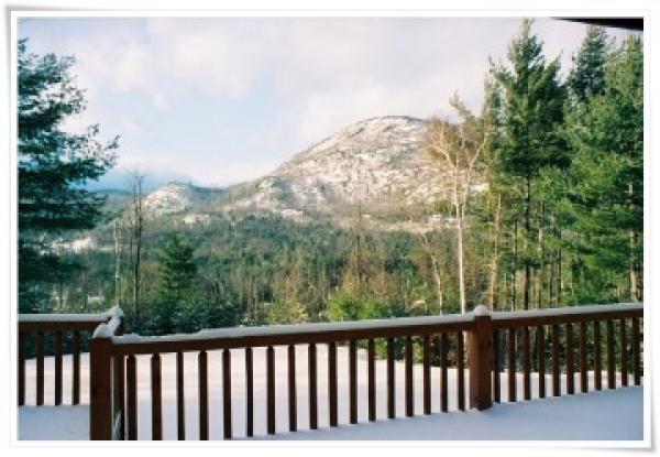 Outside View from house