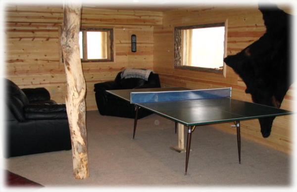 Lower level rec room with Ping Pong table