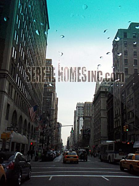 View from 5th Avenue 45 Feet Away our Building