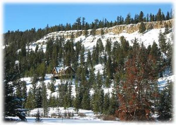 A view of the home from the end of the driveway