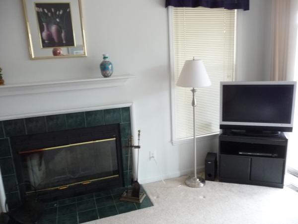 Fireplace and flatscreen TV