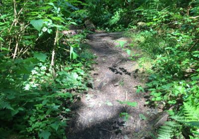 Snowline Community Trails