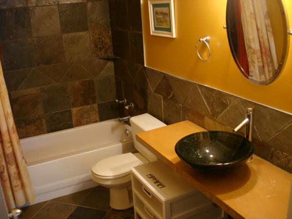 Downstairs designer bathroom