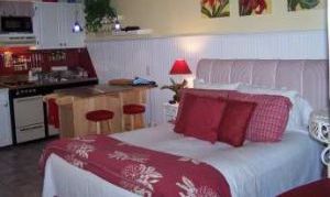 Fripp Island, South Carolina, Vacation Rental Condo