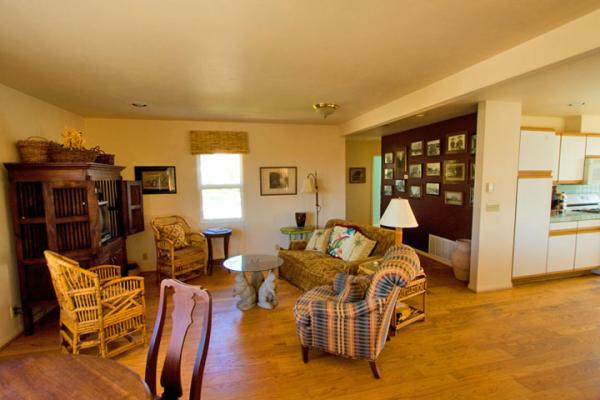 Living Room with pull out sofa