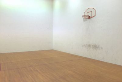 Basketball/netball