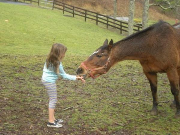 Feeding Time