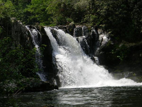 Abrams Falls in Cades Cove