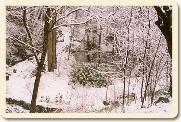 View in Winter