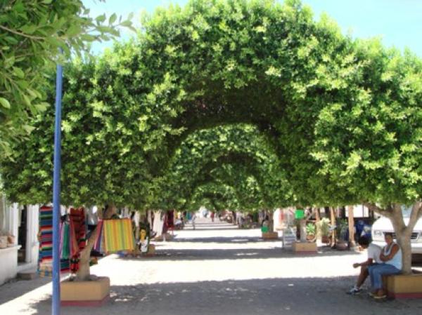 Shopping Street  see www.LoretoVacationPackage.com