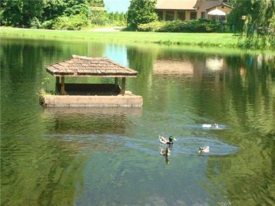 Snowline Community pond with duck house