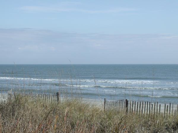 Our Beach