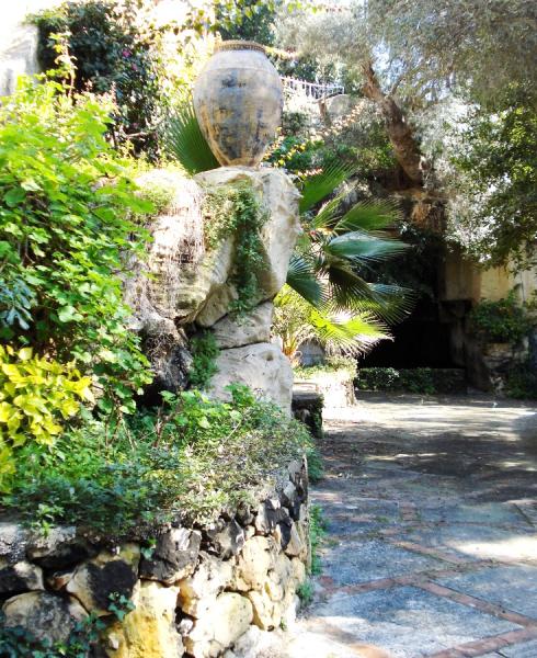 garden