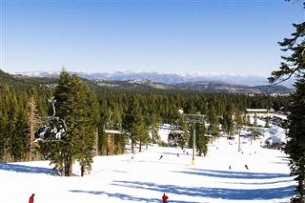 Skiing Area