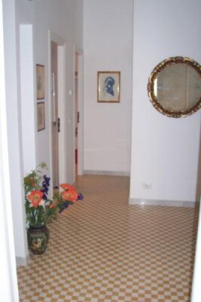 Interior  View