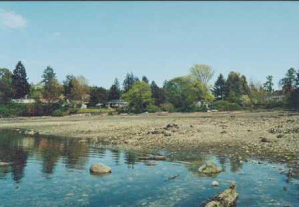 Salt Spring landscape