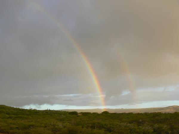 Rainbow from Master Shower