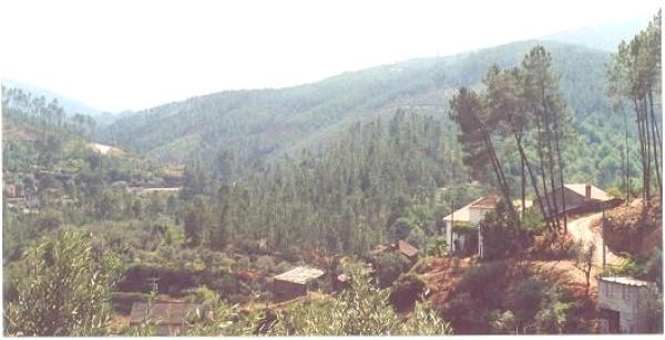 Silvadal front Mountain view