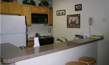 Breckenridge, Colorado, Vacation Rental Condo