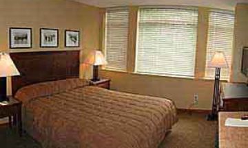 Whistler, British Columbia, Vacation Rental Condo