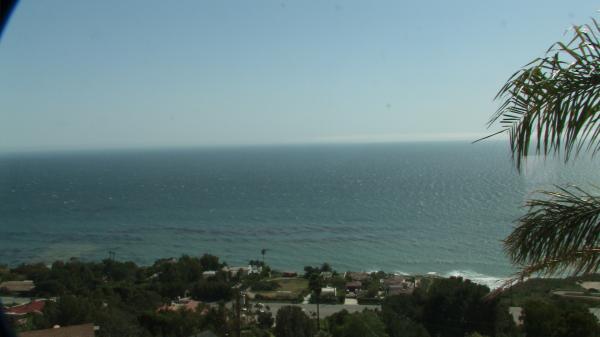 View from living room