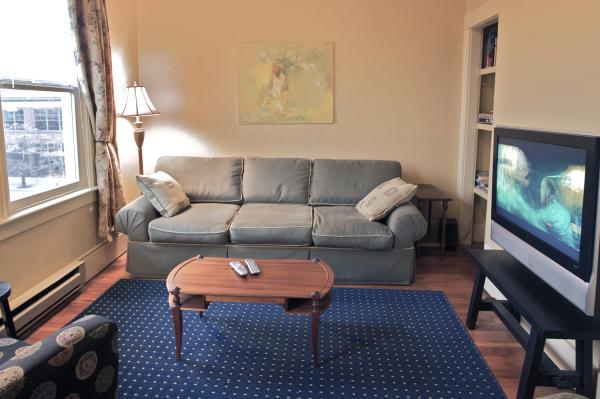 Living room in Apt. 309.