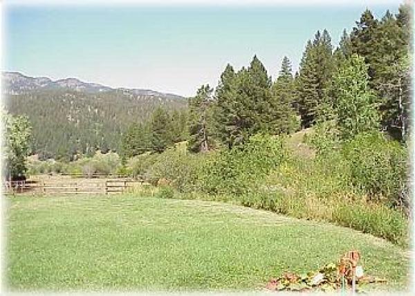 Another view of the lawn area 