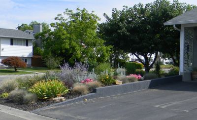 AppleTree Bed and Breakfast