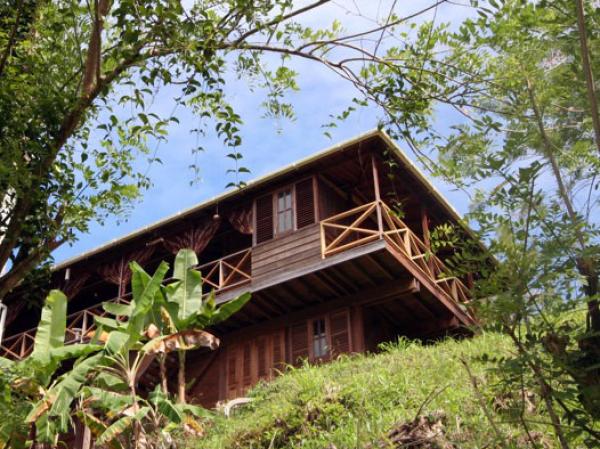 You can't help but look up...