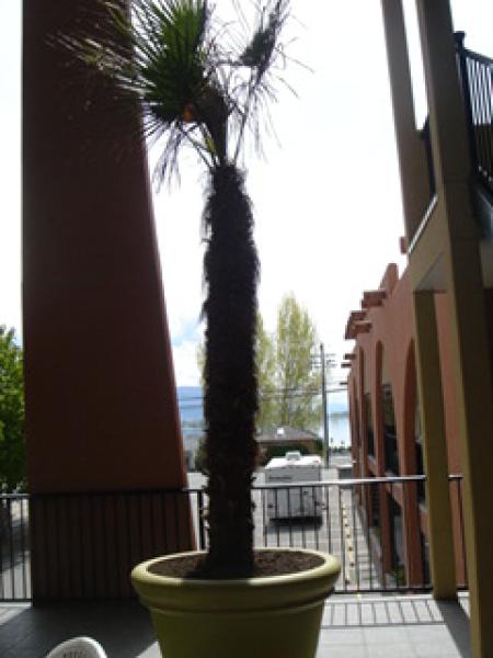 Outside View from Balcony