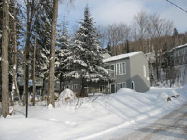 View in Winter
