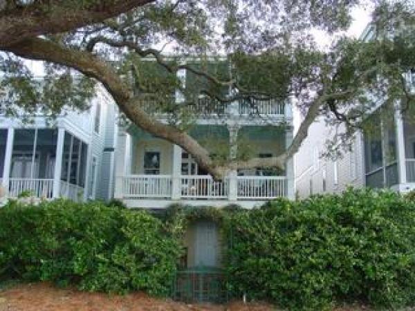 Back Yard view of The Property