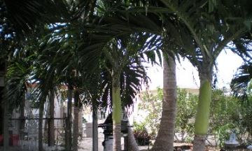 Marathon, Florida, Vacation Rental Villa