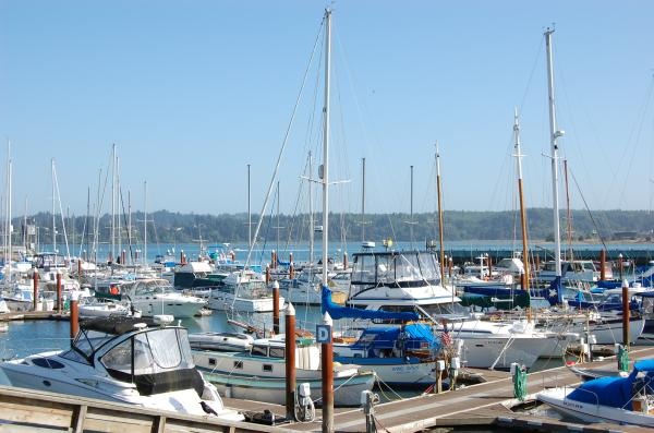 Overlooking the Marina from balcony